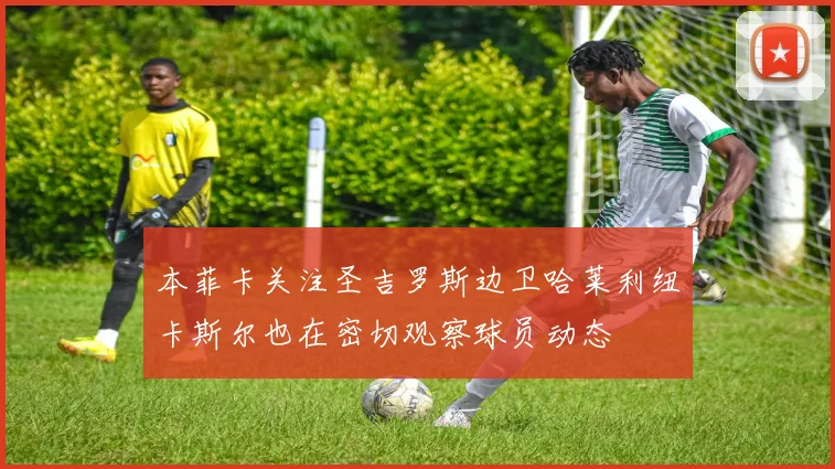 本菲卡关注圣吉罗斯边卫哈莱利纽卡斯尔也在密切观察球员动态